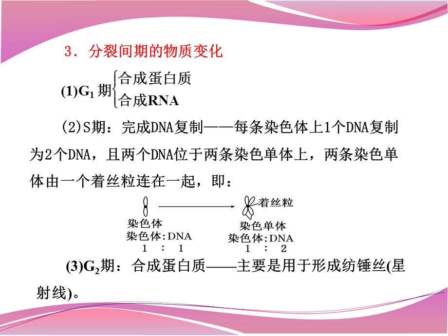 高三一轮复习细胞的生命历程ppt课件汇编.ppt_第3页