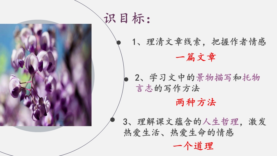 初中语文 《紫藤萝瀑布》教学ppt课件设计.ppt_第2页