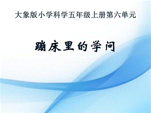 五年级上册科学ppt课件 6.2蹦床里的学问｜大象版.ppt