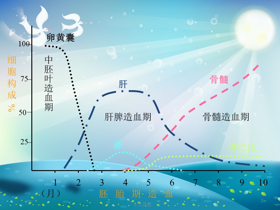 儿科学小儿贫血ppt课件.ppt_第2页