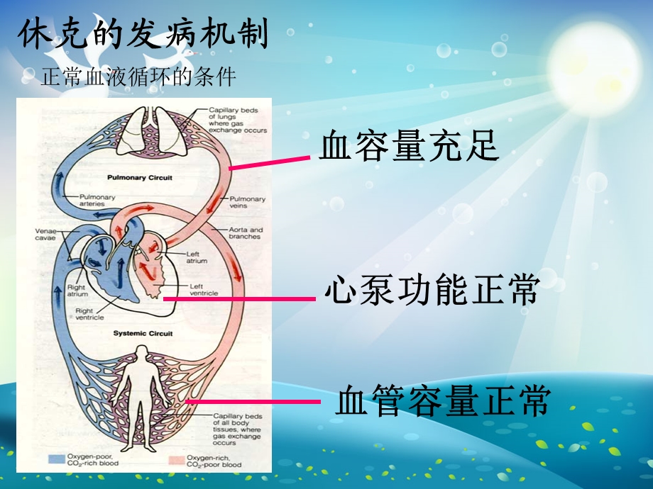 休克的分类及抢救ppt课件.ppt_第3页