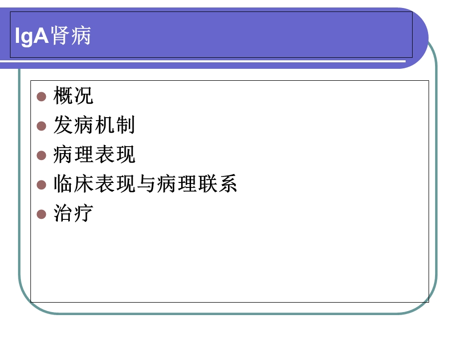 IgA肾病的发病机制、临床与病理及治疗课件.ppt_第2页