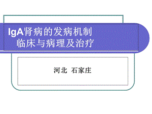 IgA肾病的发病机制、临床与病理及治疗课件.ppt