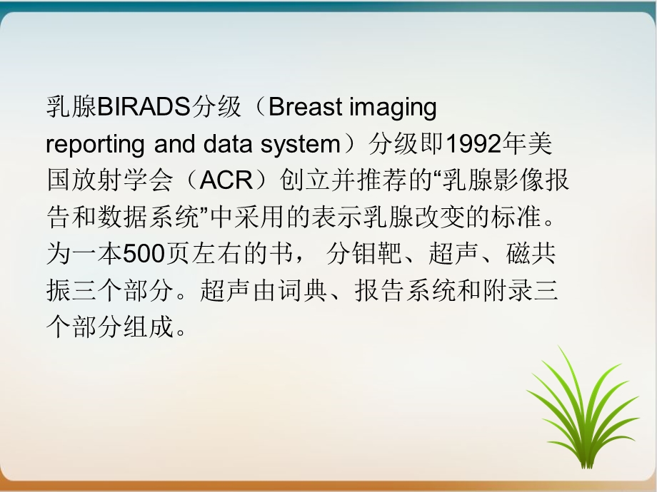 乳腺超声 BIRADS分级 实用课件.ppt_第2页