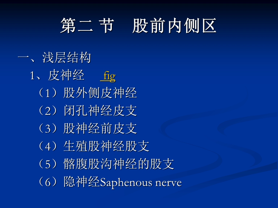 下肢解剖学课件.ppt_第2页