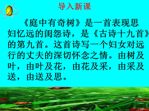 庭中有奇树ppt课件.ppt