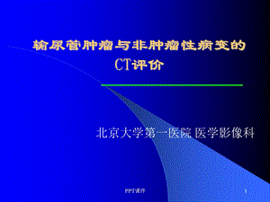 输尿管肿瘤课件.ppt