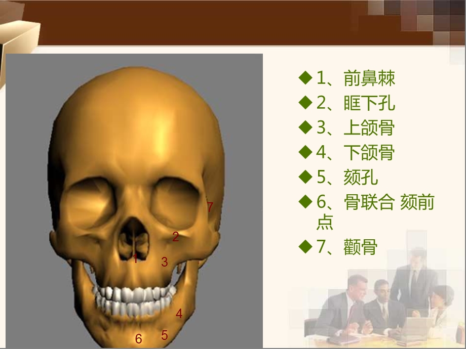 种植初级应用解剖课件.ppt_第3页