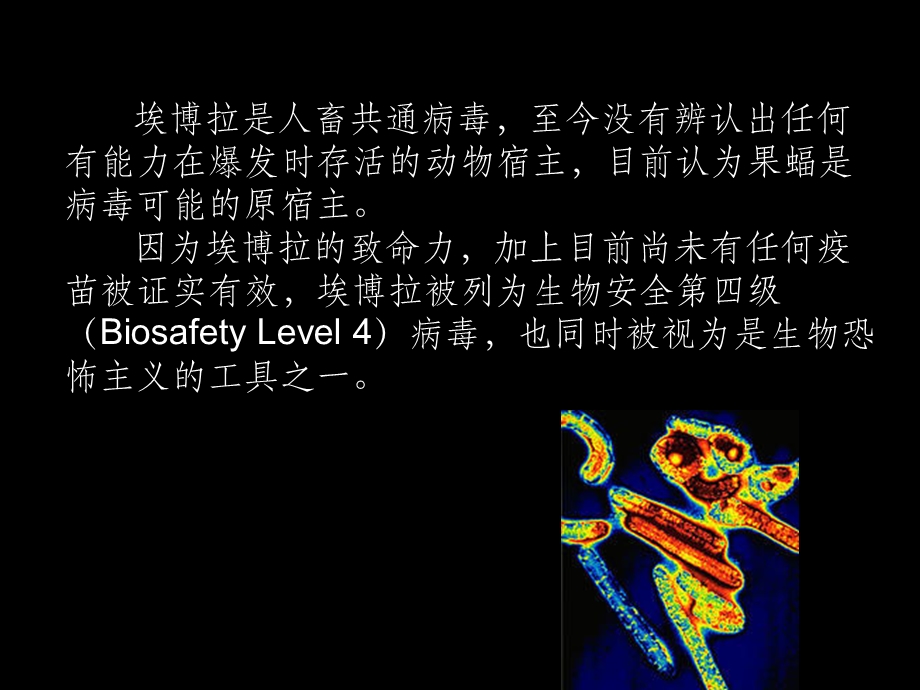 埃博拉病毒课件.ppt_第3页