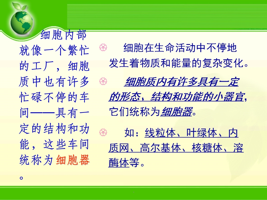 细胞中的细胞器课件.ppt_第3页