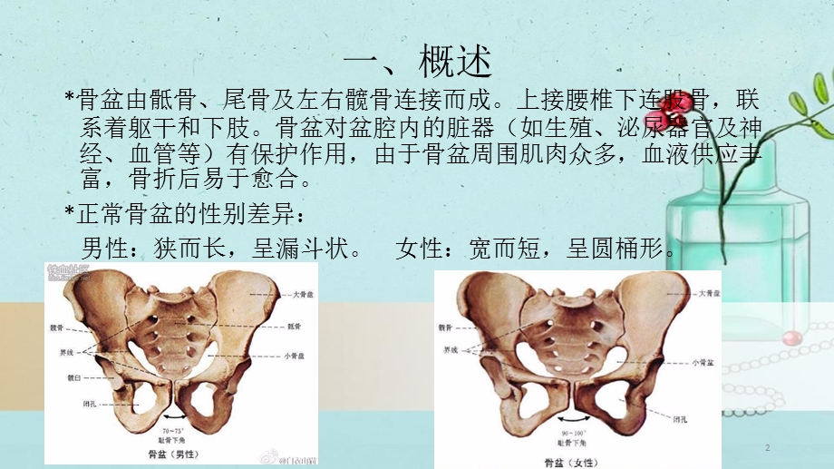 骨盆骨折患者的护理课件.ppt_第2页