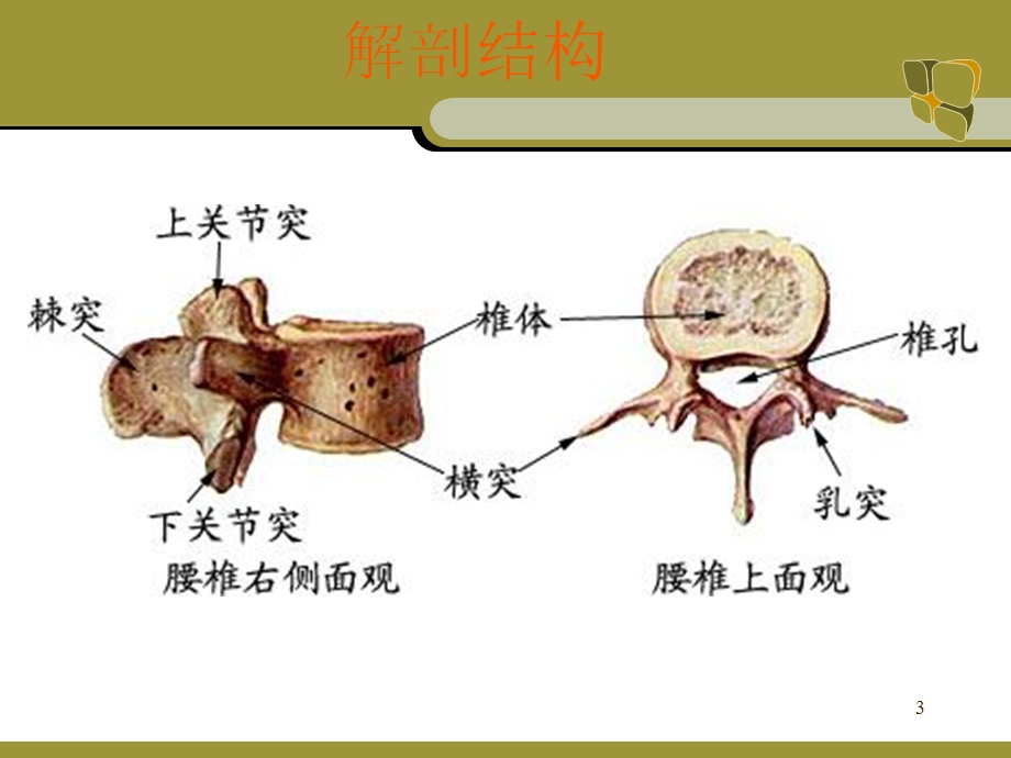 手术配合课件.ppt_第3页