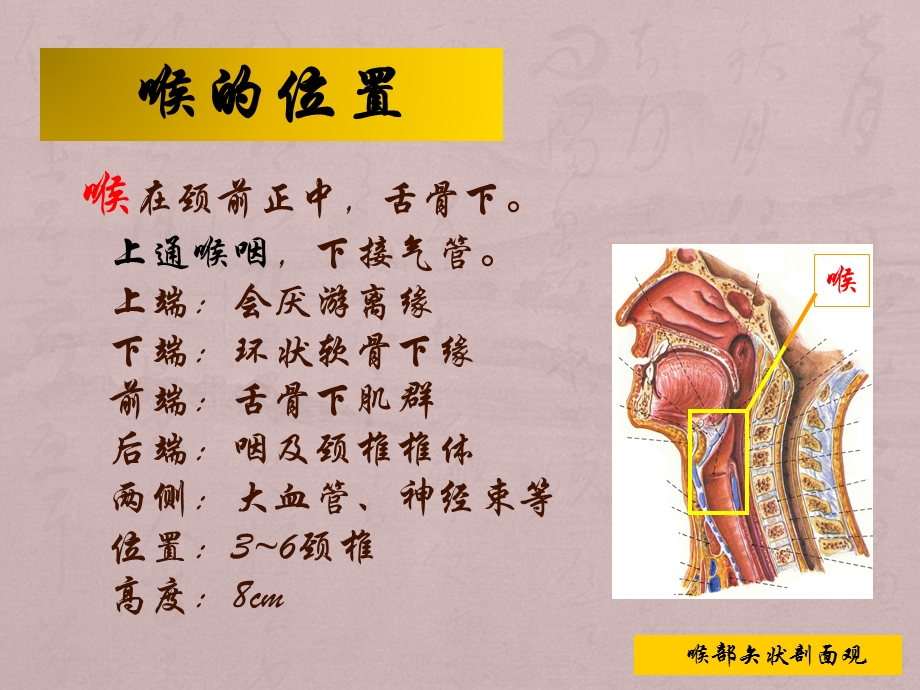 气管切开患者护理查房课件.ppt_第3页