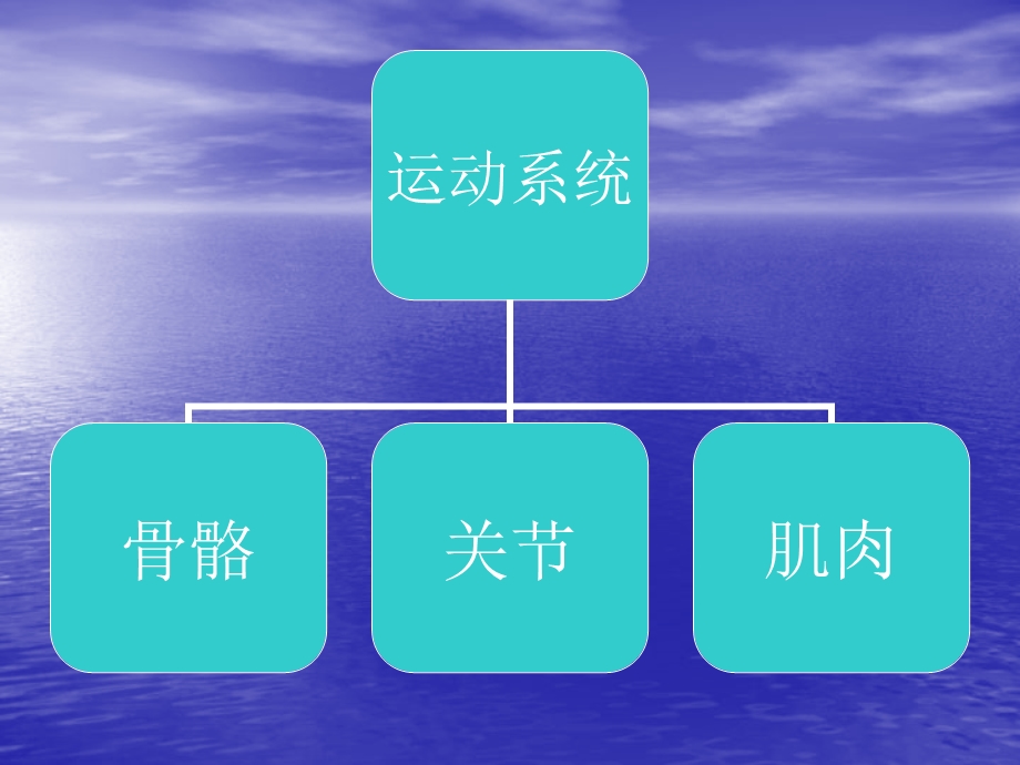 体育锻炼的作用PPT课件.ppt_第2页