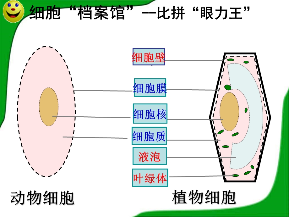 第四节细胞的生活课件.ppt_第1页