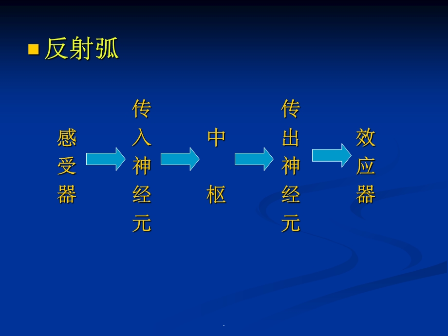 神经反射 诊断学查体课件.ppt_第2页