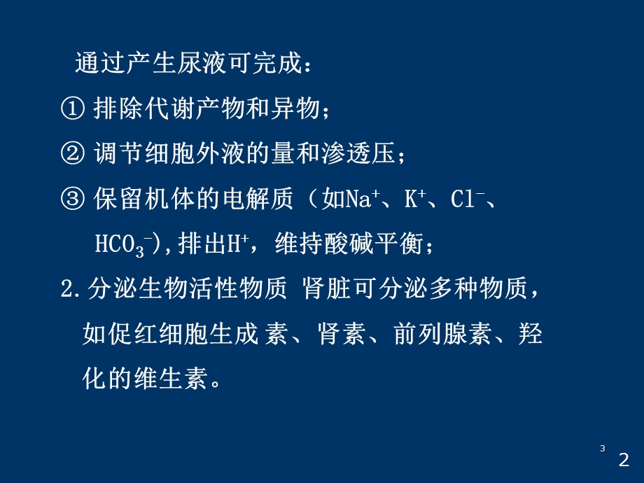 生理肾脏课件.ppt_第3页