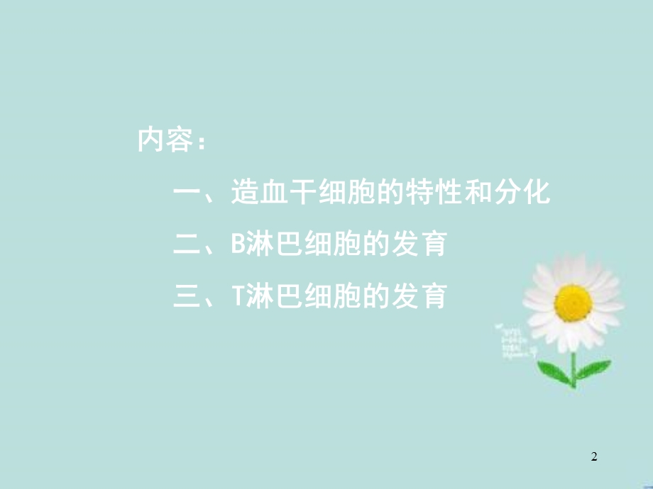 造血干细胞课件.ppt_第2页