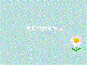 造血干细胞课件.ppt