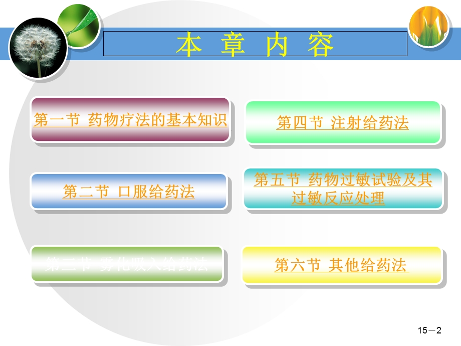 药物疗法和药物过敏试验课件.ppt_第2页