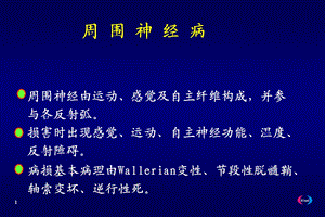 周围神经病课件.ppt