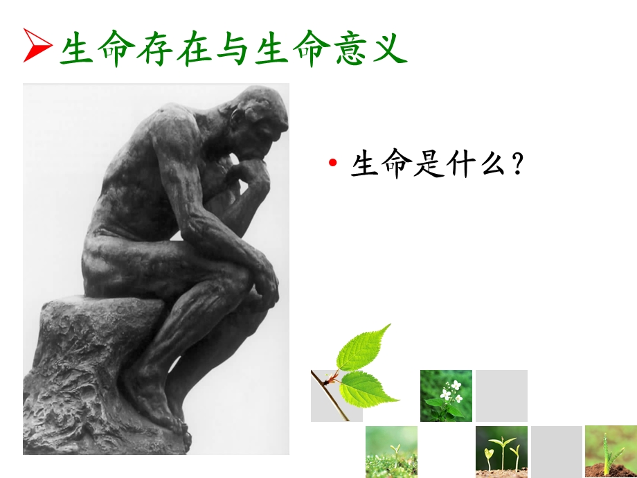 大学生生命教育与心理危机干预课件.ppt_第2页