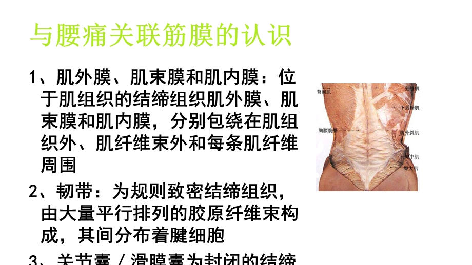 针刀筋膜松解治疗腰背疼痛的体会课件.ppt_第3页