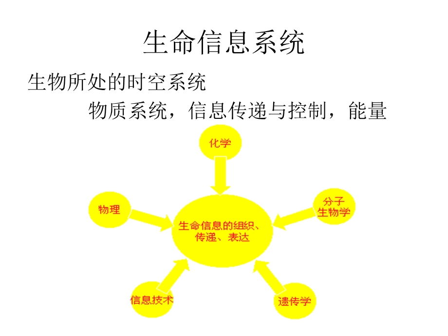 生物信息学的研究内容、方法及意义课件.ppt_第3页