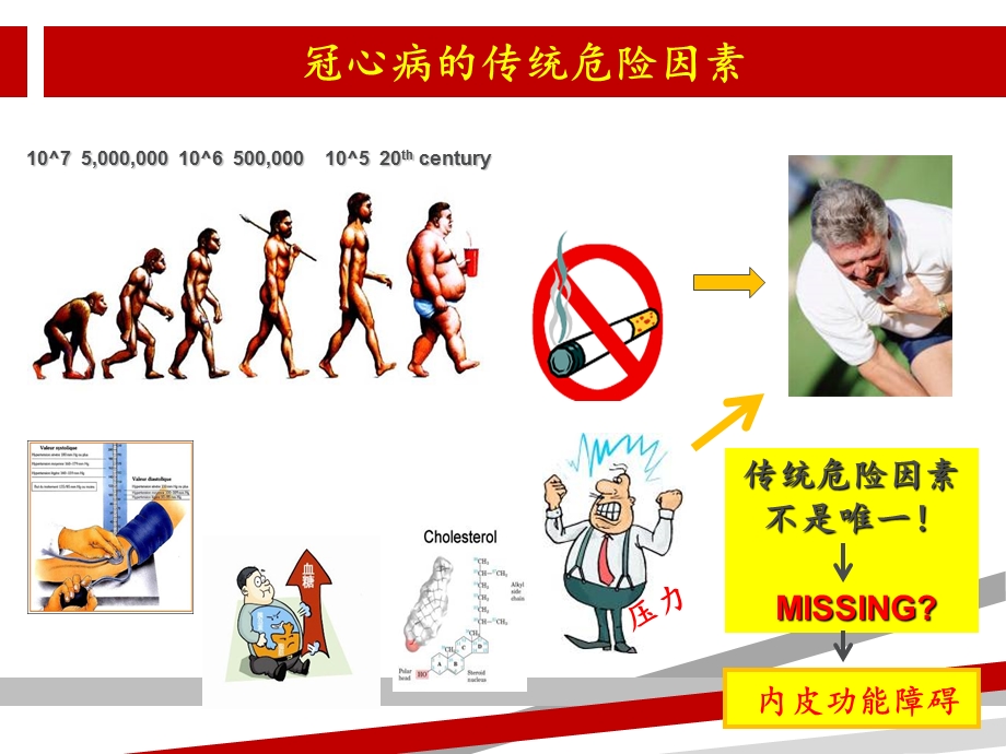 内皮功能与冠心病课件.ppt_第2页