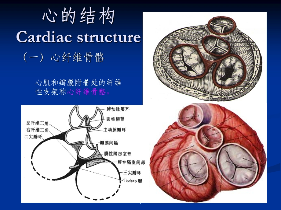 心脏肿瘤CT诊断最新版课件.ppt_第3页