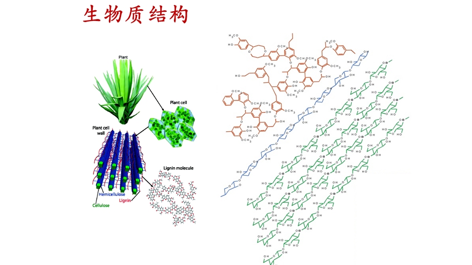 生物质转化工程 课件.ppt_第3页