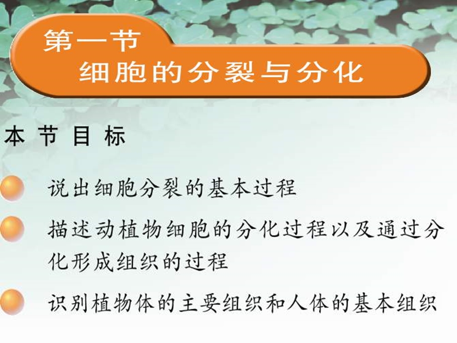 苏科版生物七下《细胞的分裂和分化》课件.ppt_第1页