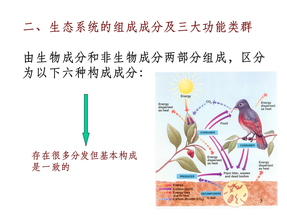 生态系统课件.ppt_第3页