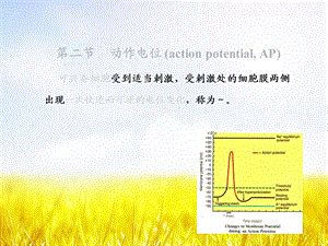 生理ppt课件动作电位.ppt