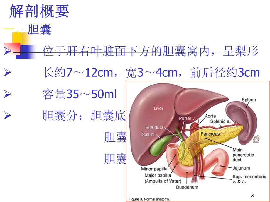 胆道引流管的护理课件.ppt_第3页