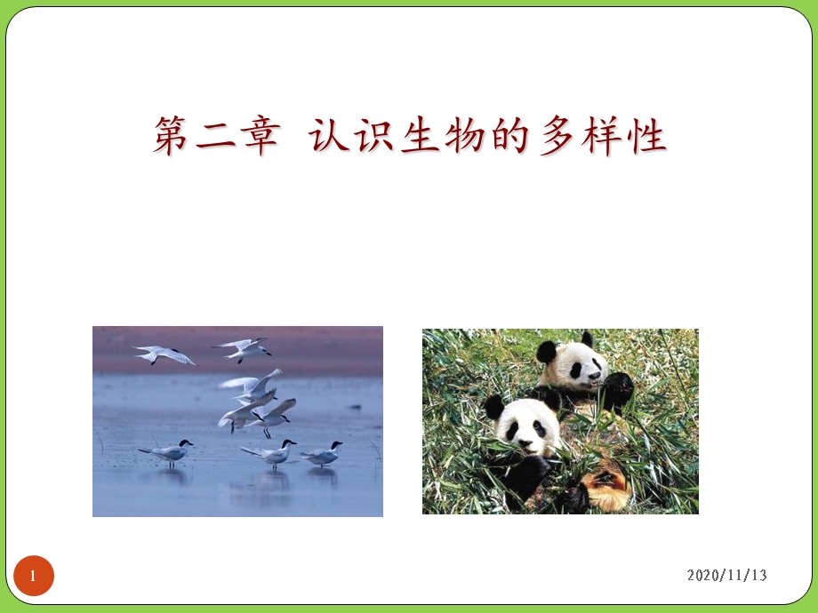 认识生物的多样性 课件.ppt_第1页