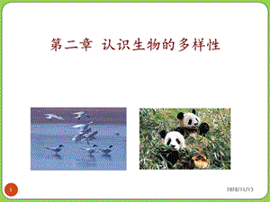 认识生物的多样性 课件.ppt