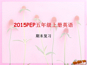 新版pep五年级上册英语复习课件.ppt