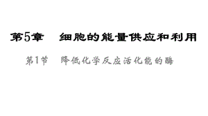 公开降低化学反应活化能的酶课件.ppt