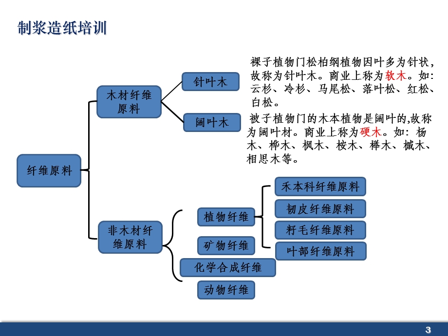 制浆造纸培训课件.ppt_第3页