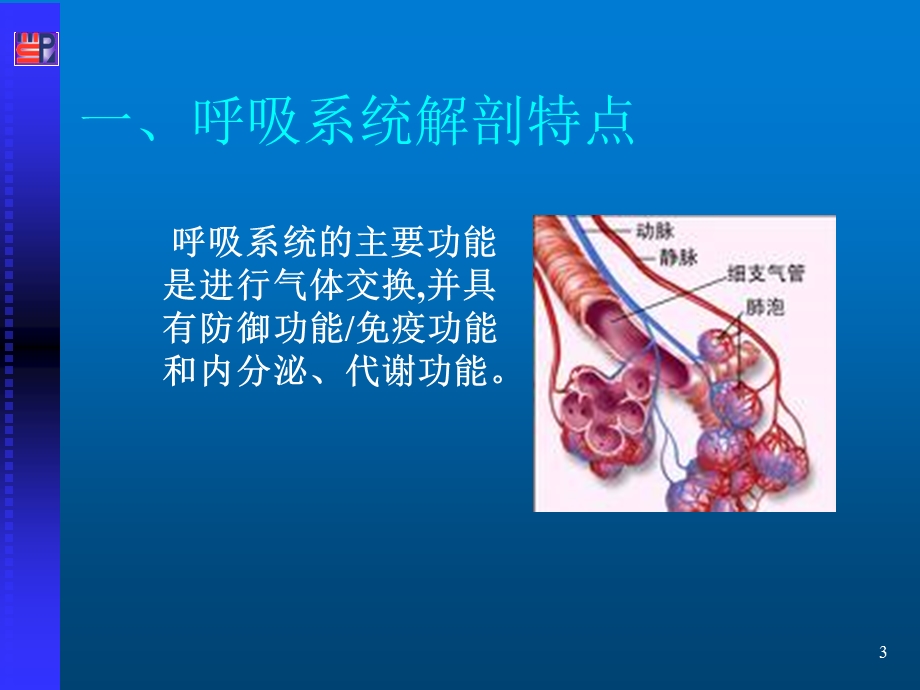 呼吸系统疾病患者的的重症护理课件.ppt_第3页