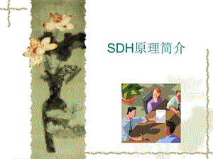 培训——SDH原理资料课件.ppt