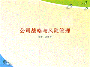 第一章 公司战略与风险管理课件.ppt