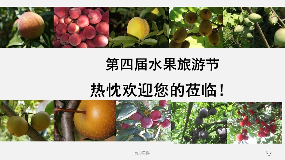 水果及土特产品介绍课件.ppt_第1页