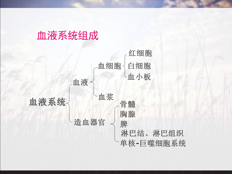 浅识血液病课件.ppt_第3页