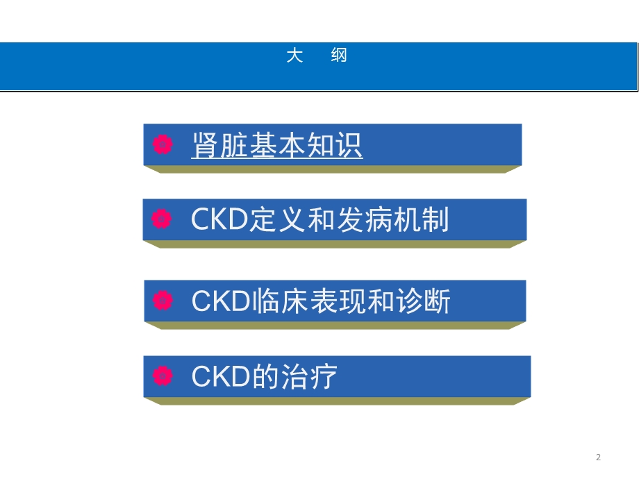 慢性肾脏病医学知识培训课件.ppt_第2页