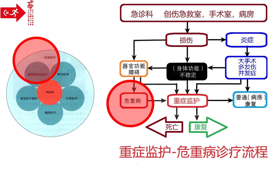 患者安全转运课件.ppt_第3页