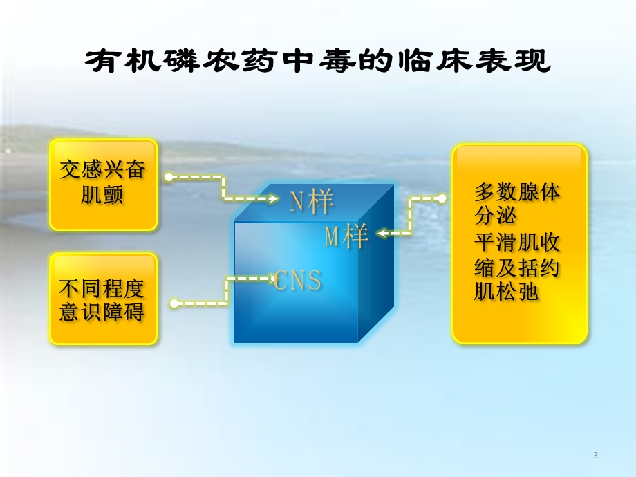 阿托品化课件.ppt_第3页