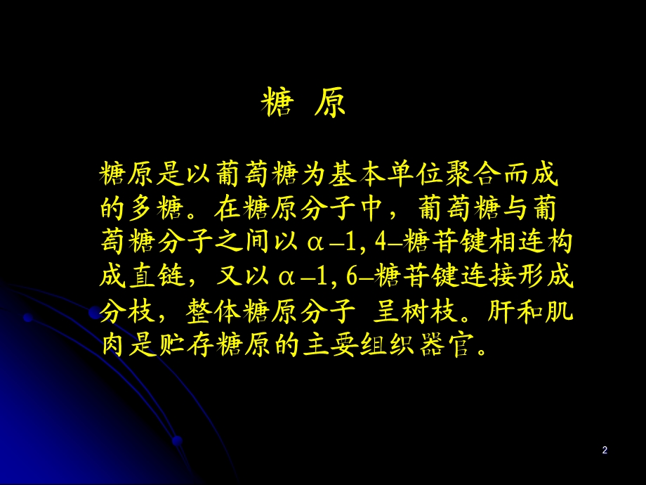 糖原的合成与分解课件.ppt_第2页