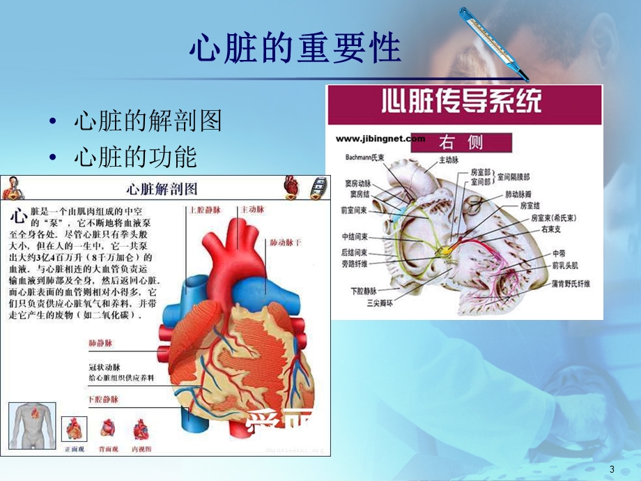 心肺复苏术课件ppt.ppt_第3页